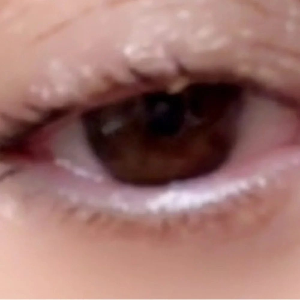 The Lash Drip
